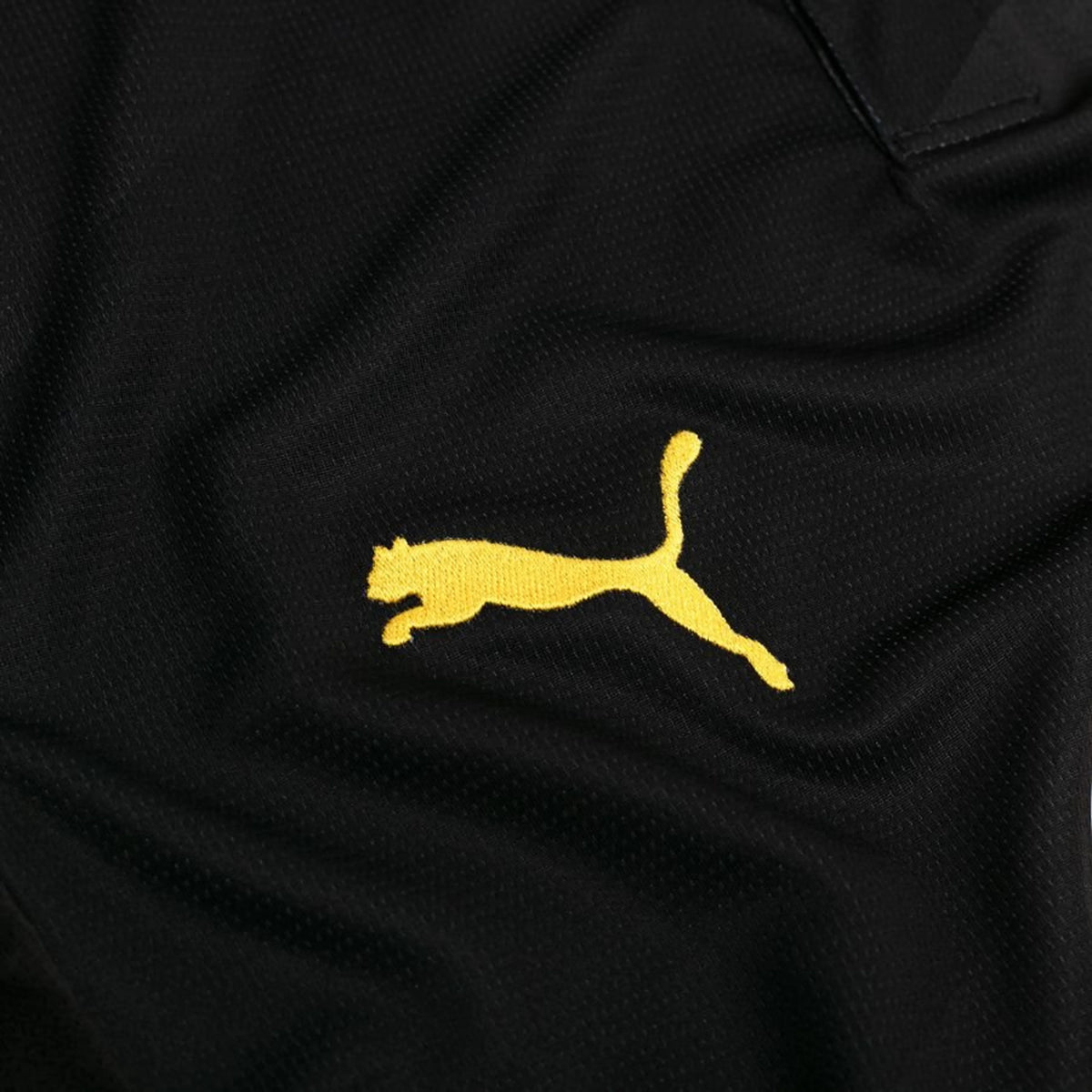 Camisola Borussia Dortmund 26/27 Alternativa